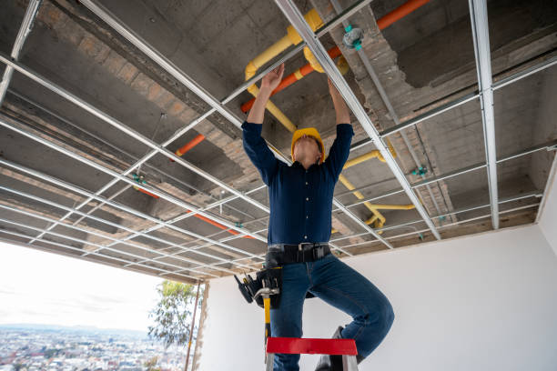 Best Plumbing Inspection Services  in Cuero, TX